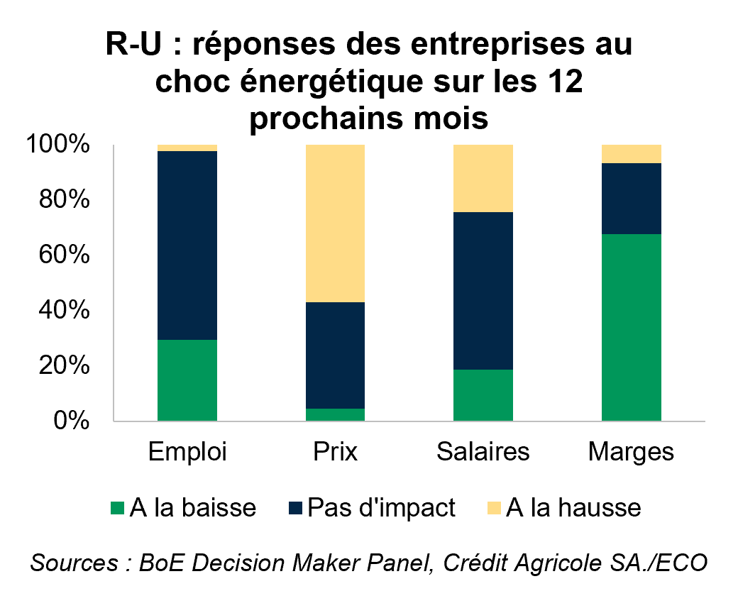R-U : réponses des entreprises au choc énergétique sur les 12 prochains mois