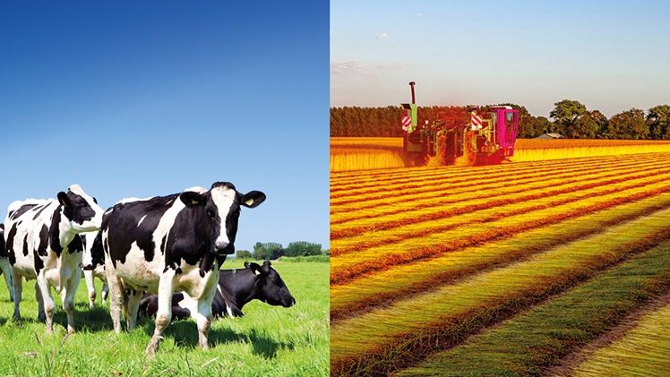 PRISME – L'analyse de la conjoncture et de l'actualité agricole et agroalimentaire du Crédit Agricole