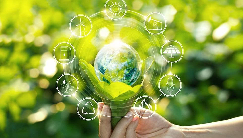 Des solutions innovantes pour les emballages alimentaires