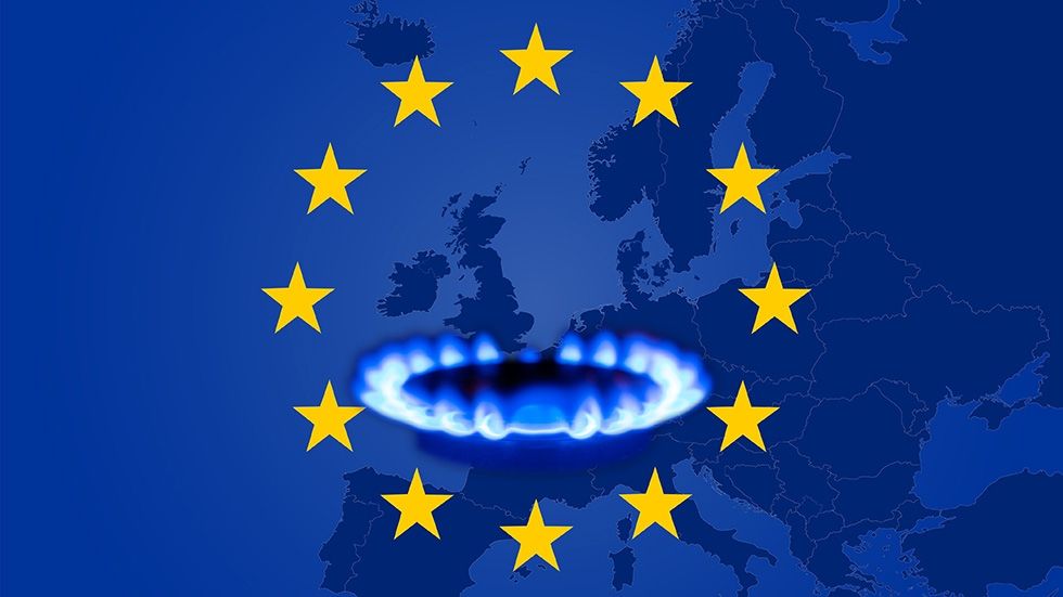 Zone euro – Vulnérabilité à l'approvisionnement en gaz russe : quelles stratégies ?