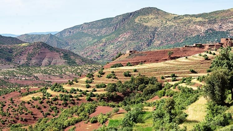 Maroc – La pire sècheresse depuis trente ans et ses conséquences économiques